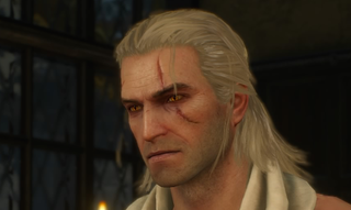 Illustration for article titled The Witcher 3: Wild Hunt: The Kotaku Review